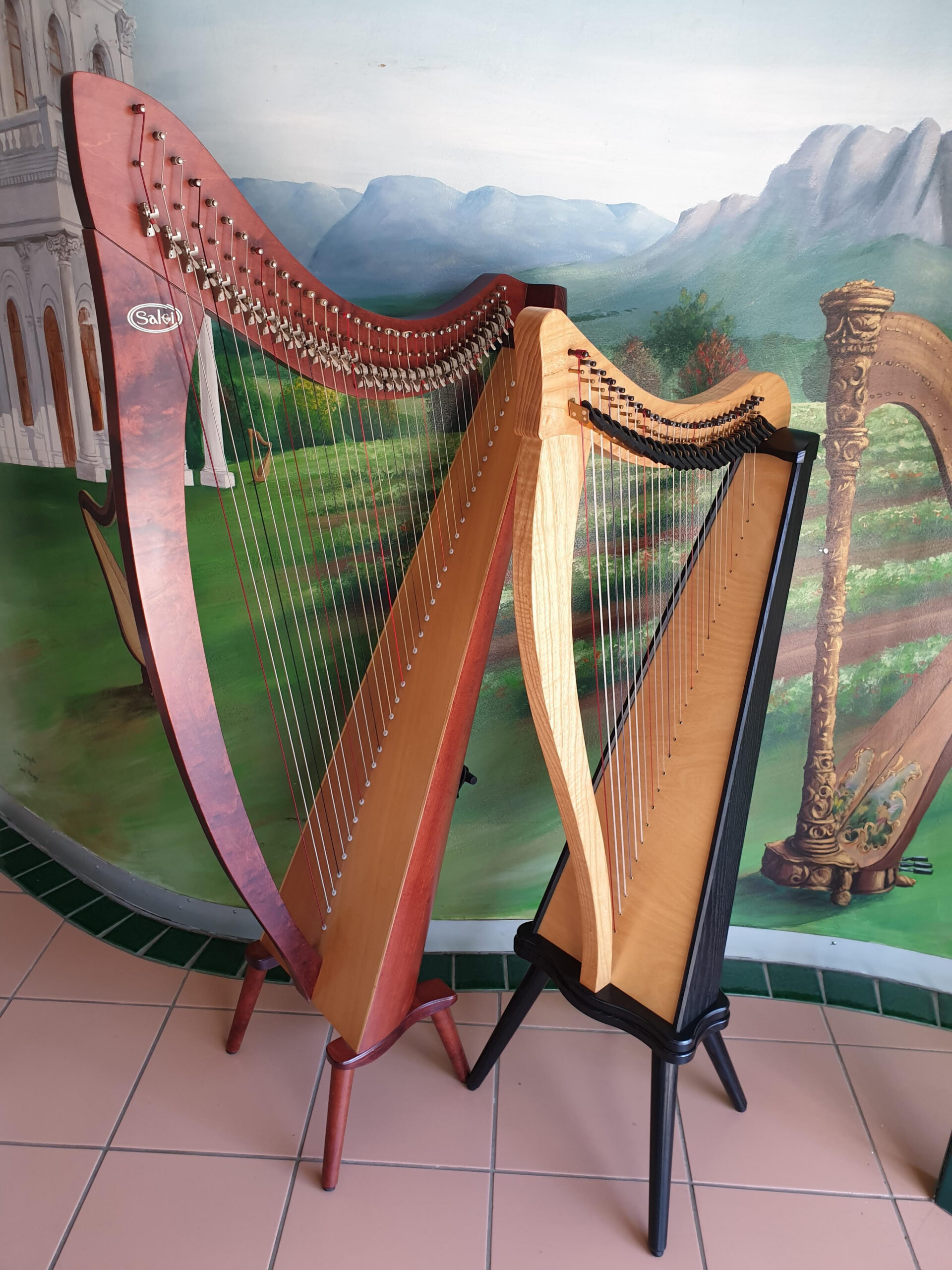 Lever harps available to rent from Avondale Harps